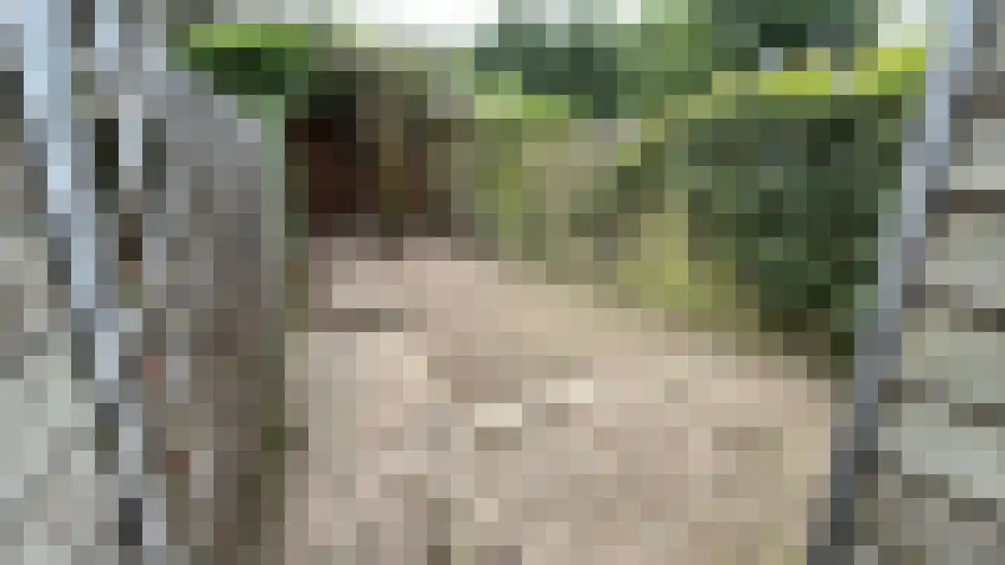 Abstederdijk 207 Utrecht thumbnail 22