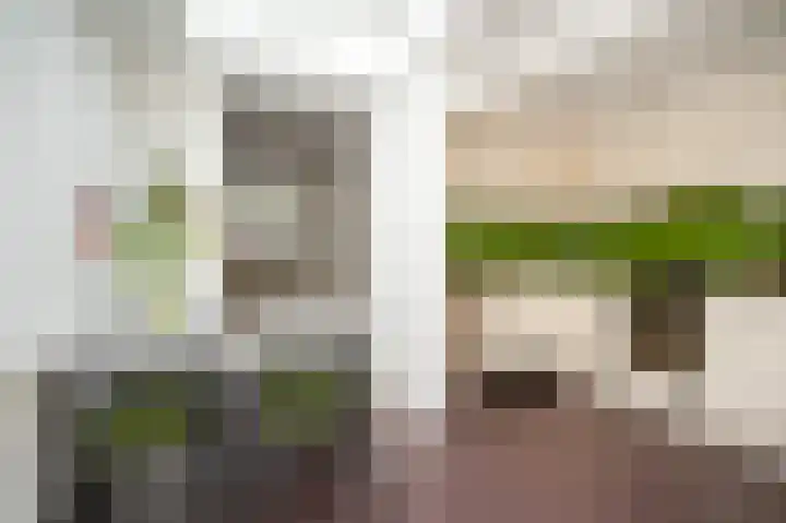 Abstederdijk 239 Utrecht thumbnail 12