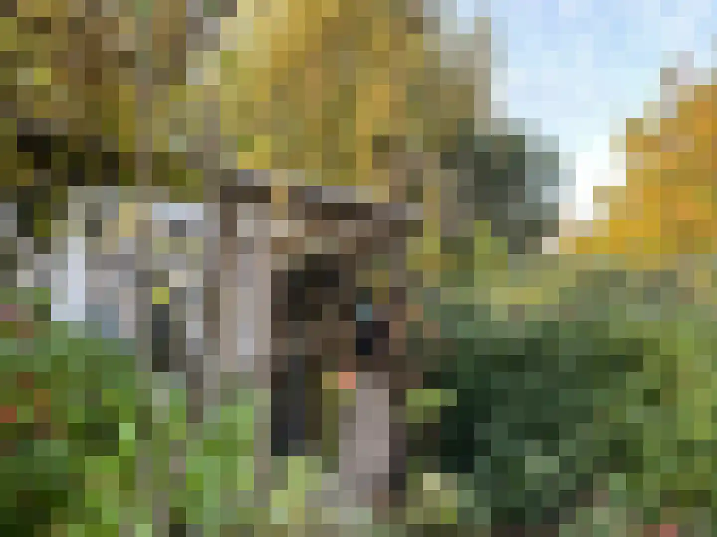 Abstederdijk 239 Utrecht thumbnail 21