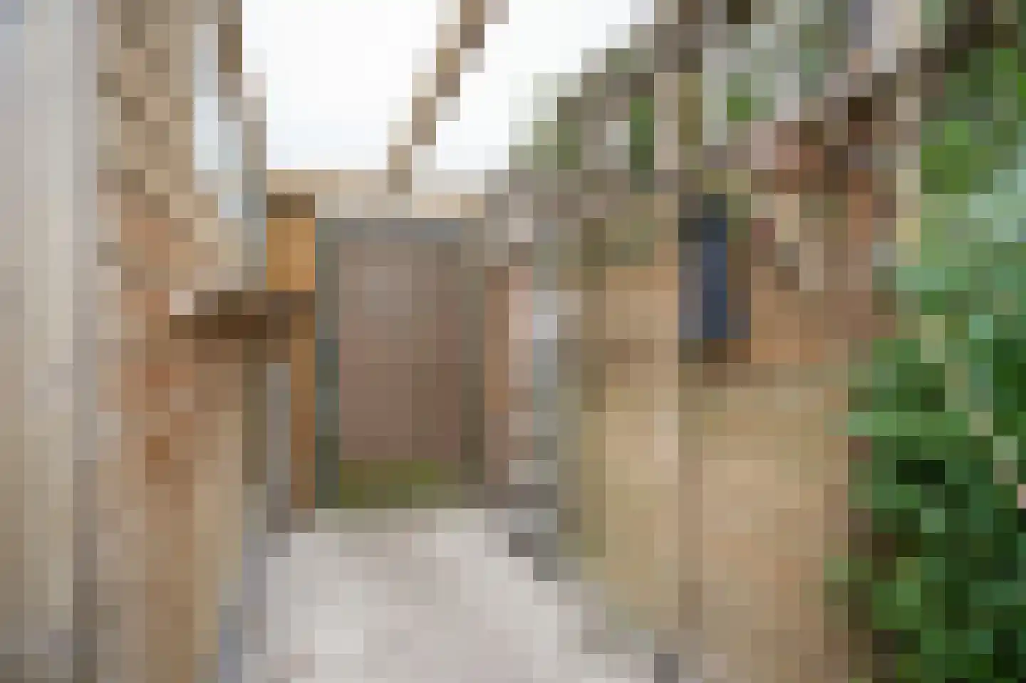 Abstederdijk 239 Utrecht thumbnail 23