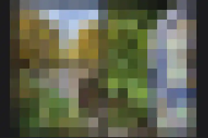 Abstederdijk 239 Utrecht thumbnail 25