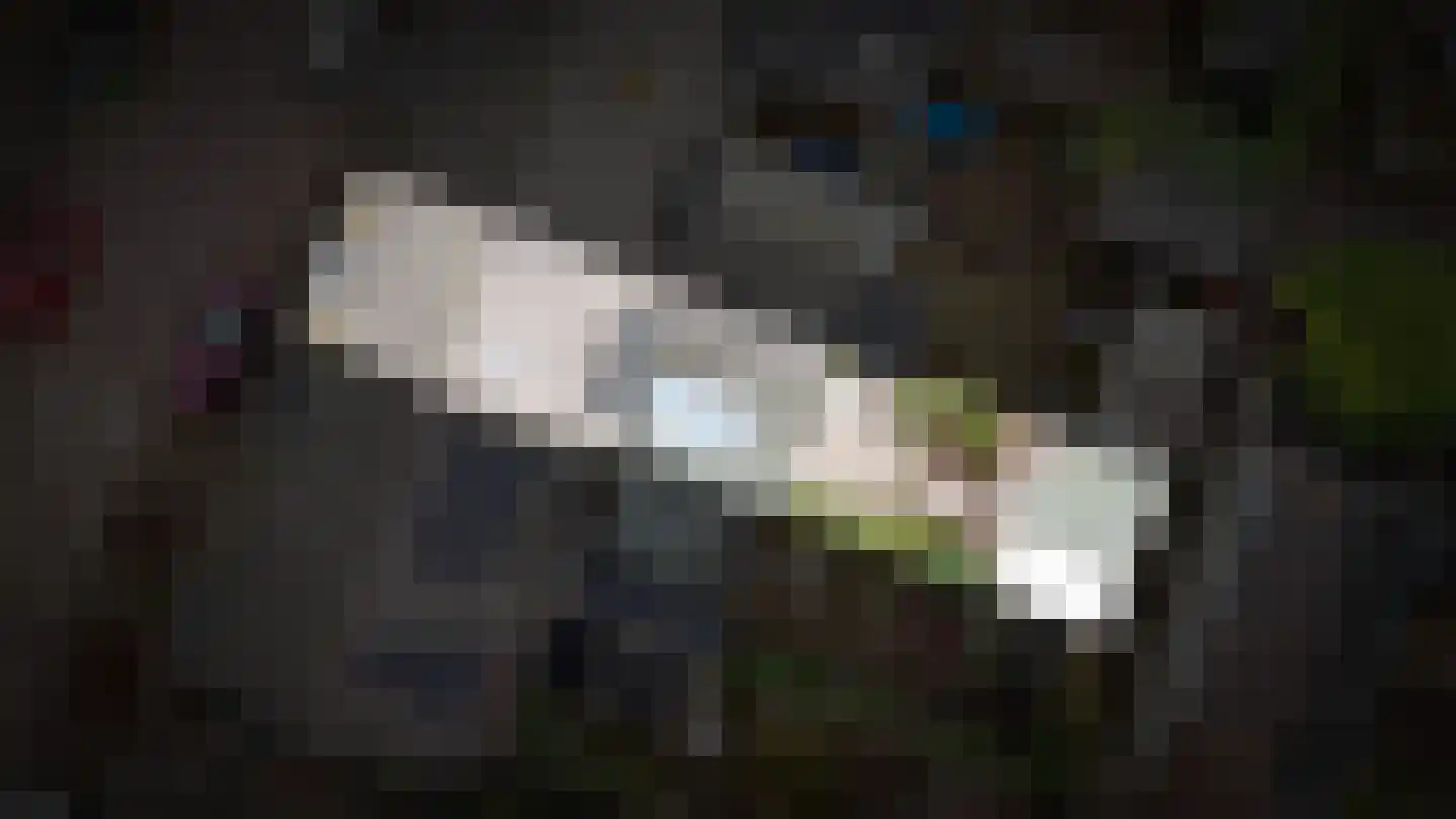 Abstederdijk 239 Utrecht thumbnail 40