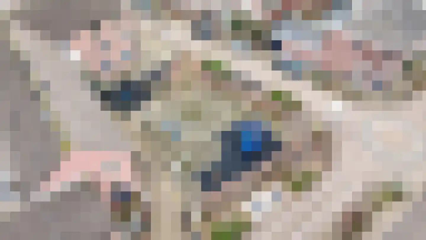 Abstederdijk 239 Utrecht thumbnail 41