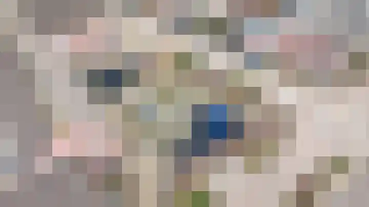 Abstederdijk 239 Utrecht thumbnail 42