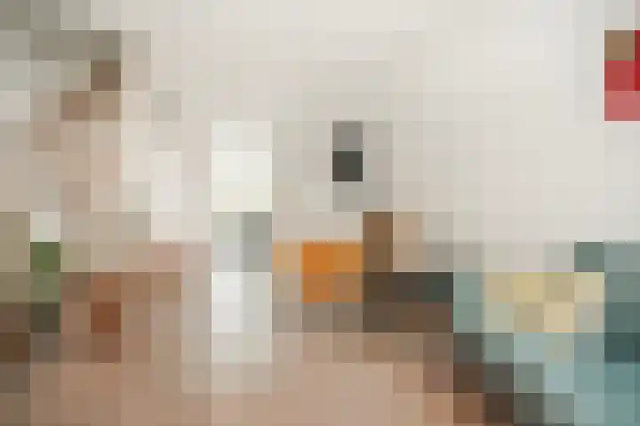 Abstederdijk 239 Utrecht thumbnail 8