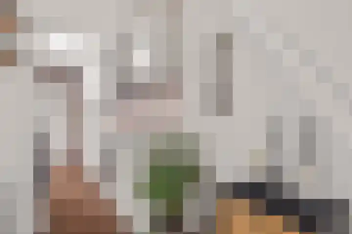 Abstederdijk 245 Utrecht thumbnail 12