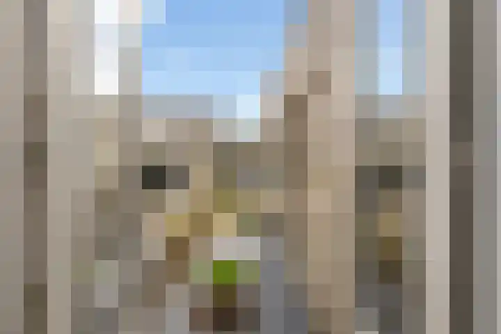 Abstederdijk 245 Utrecht thumbnail 20