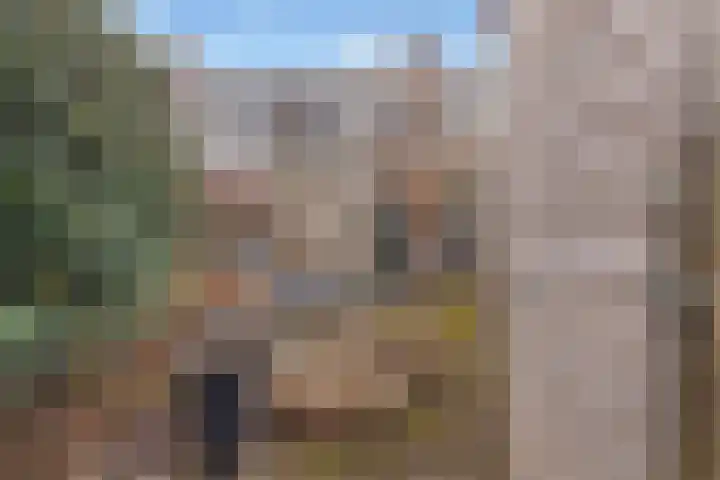 Abstederdijk 245 Utrecht thumbnail 24