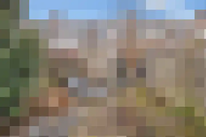 Abstederdijk 245 Utrecht thumbnail 25
