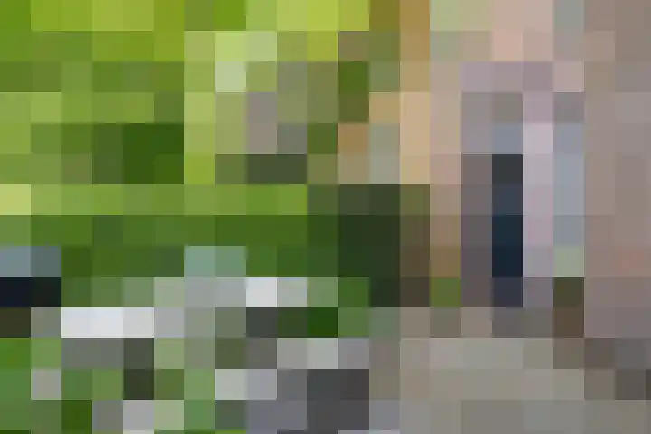 Abstederdijk 265 BS Utrecht thumbnail 33