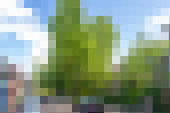 Abstederdijk 265 BS Utrecht thumbnail 35