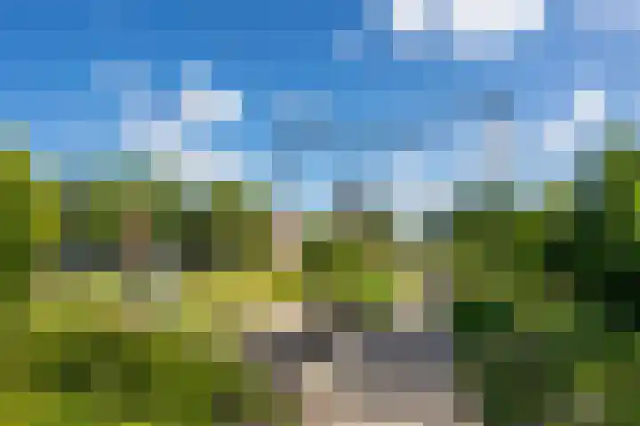 Abstederdijk 265 BS Utrecht thumbnail 36