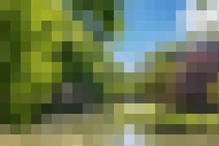 Abstederdijk 265 BS Utrecht thumbnail 38