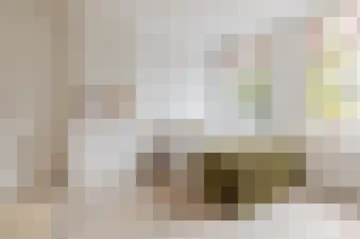 Abstederdijk 34 1 Utrecht thumbnail 12