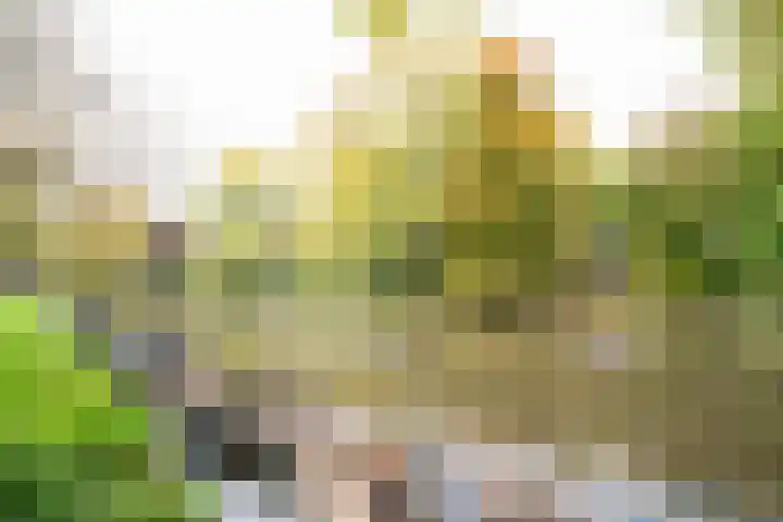 Abstederdijk 34 1 Utrecht thumbnail 35