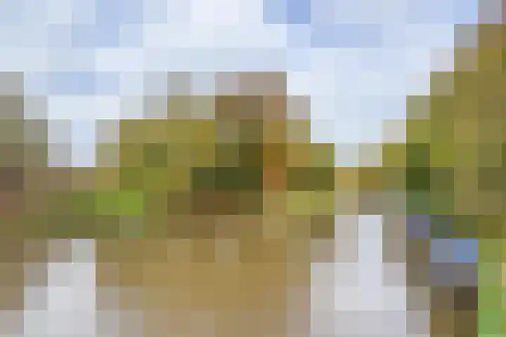 Abstederdijk 34 2 Utrecht thumbnail 36