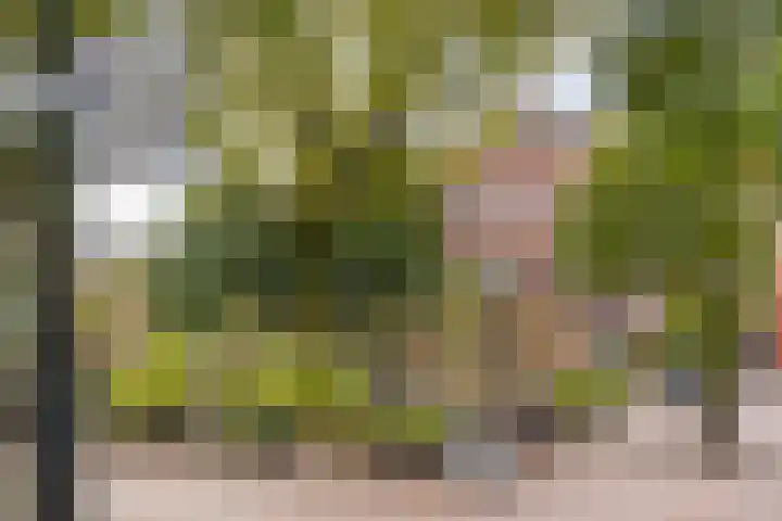 Abstederdijk 34 2 Utrecht thumbnail 38