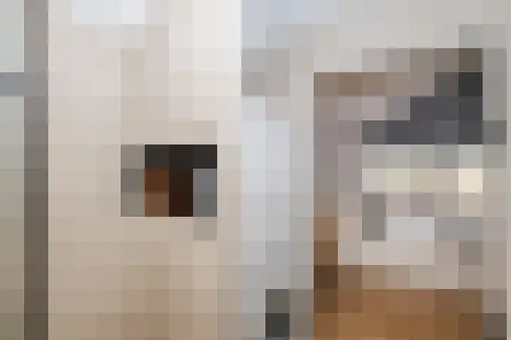 Abstederdijk 34 2 Utrecht thumbnail 41