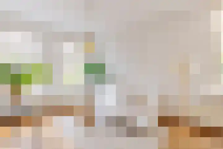 Abstederdijk 34 2 Utrecht thumbnail 9