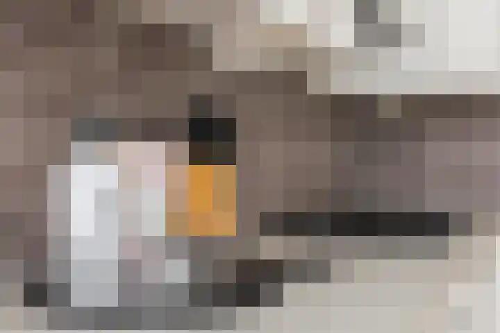 Abstederdijk 42 Utrecht thumbnail 11