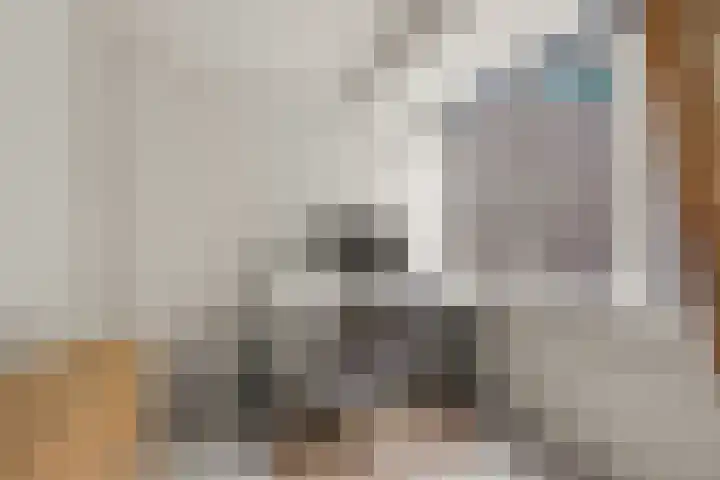 Abstederdijk 42 Utrecht thumbnail 17