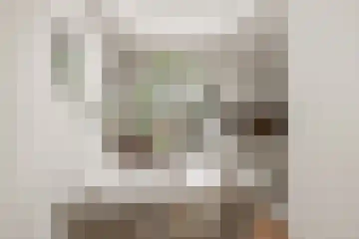 Abstederdijk 42 Utrecht thumbnail 38