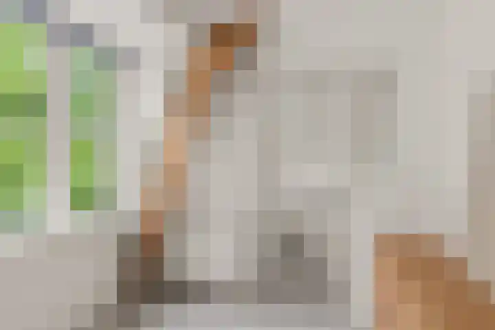 Abstederdijk 42 Utrecht thumbnail 47