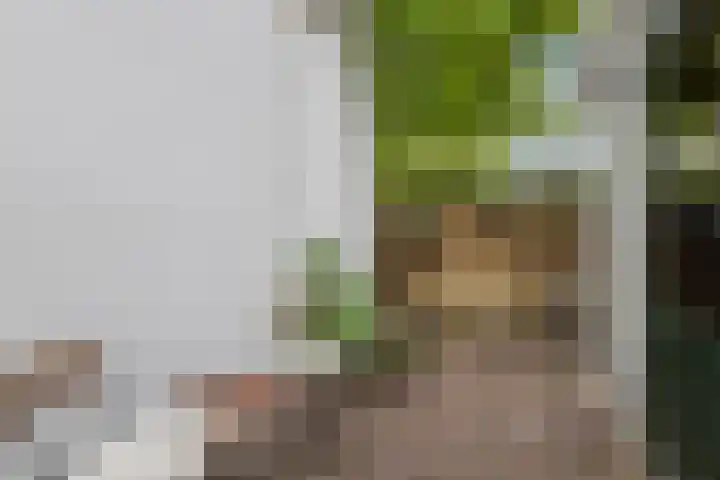 Abstederdijk 42 Utrecht thumbnail 49