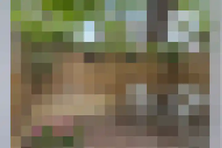 Abstederdijk 42 Utrecht thumbnail 50