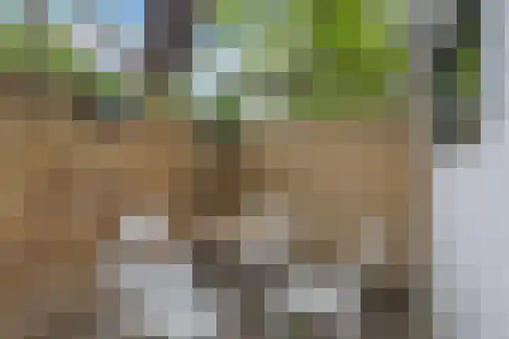 Abstederdijk 42 Utrecht thumbnail 51