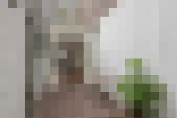 Abstederdijk 42 Utrecht thumbnail 53