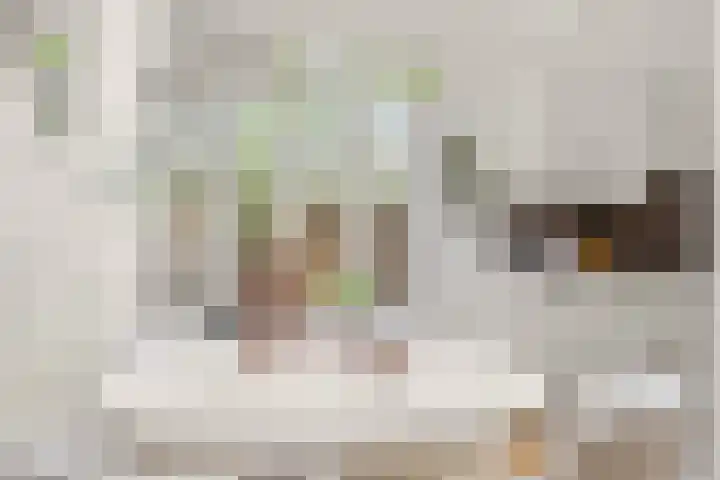 Abstederdijk 42 Utrecht thumbnail 9