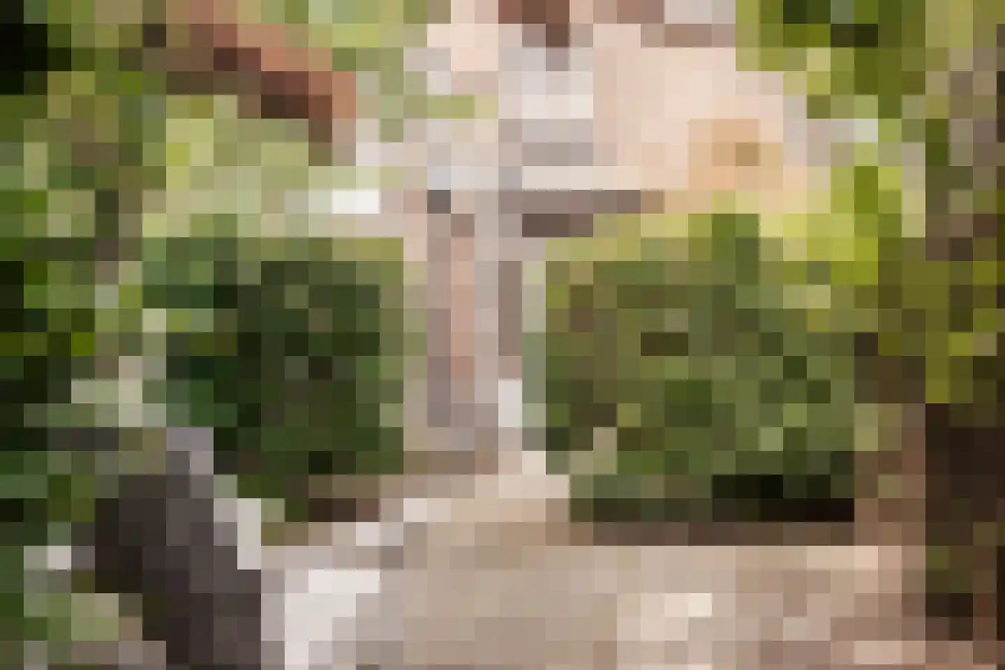 Abstederdijk 77 Utrecht thumbnail 18