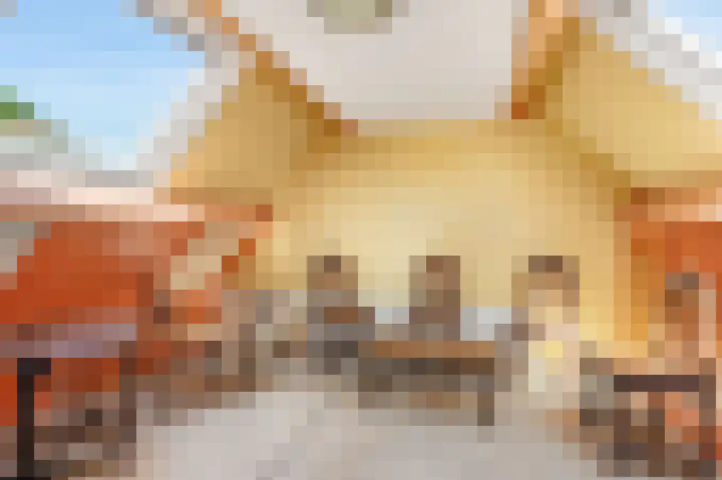 Absveen 48 Noordwijkerhout thumbnail 23