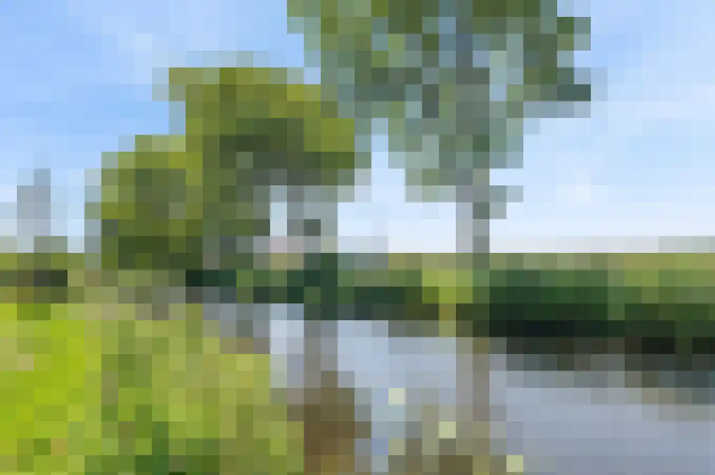 Absveen 48 Noordwijkerhout thumbnail 25