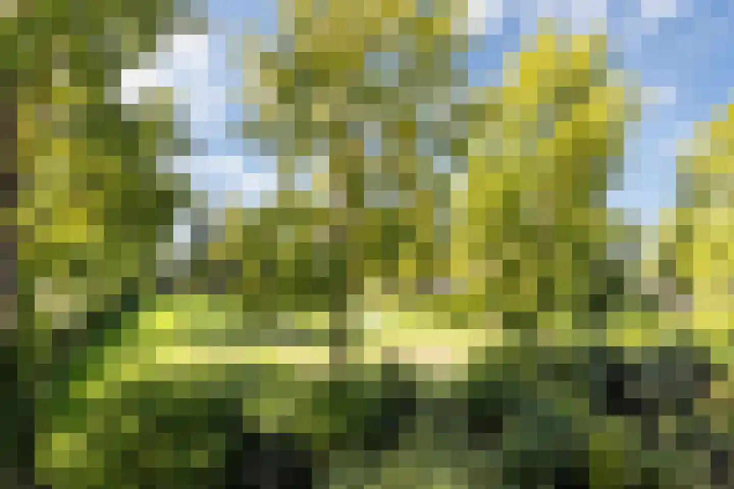 Abt Ludolfweg 11 De Bilt thumbnail 21