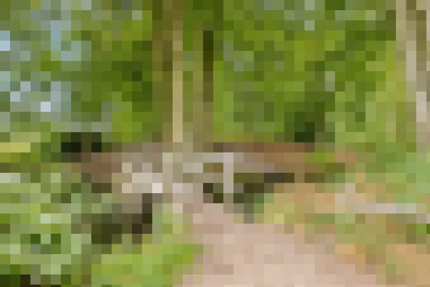 Abt Ludolfweg 112 De Bilt thumbnail 35