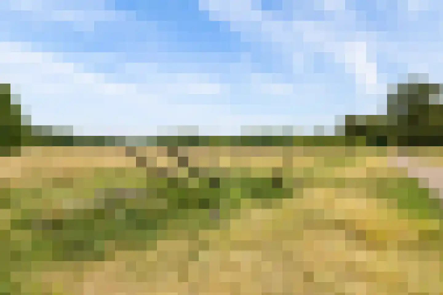 Abt Ludolfweg 112 De Bilt thumbnail 37