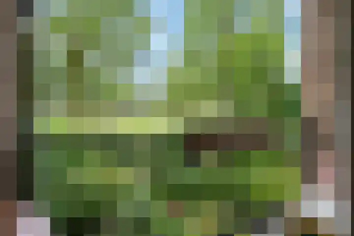 Abt Ludolfweg 15 De Bilt thumbnail 16