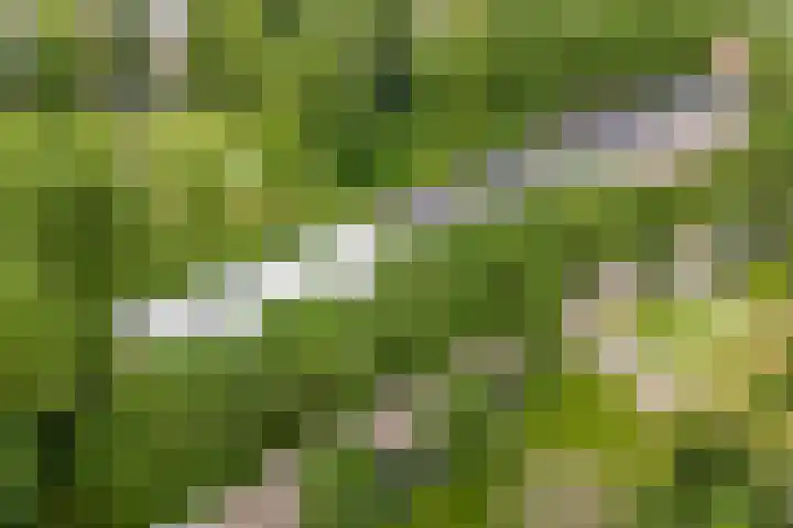 Abt Ludolfweg 15 De Bilt thumbnail 33