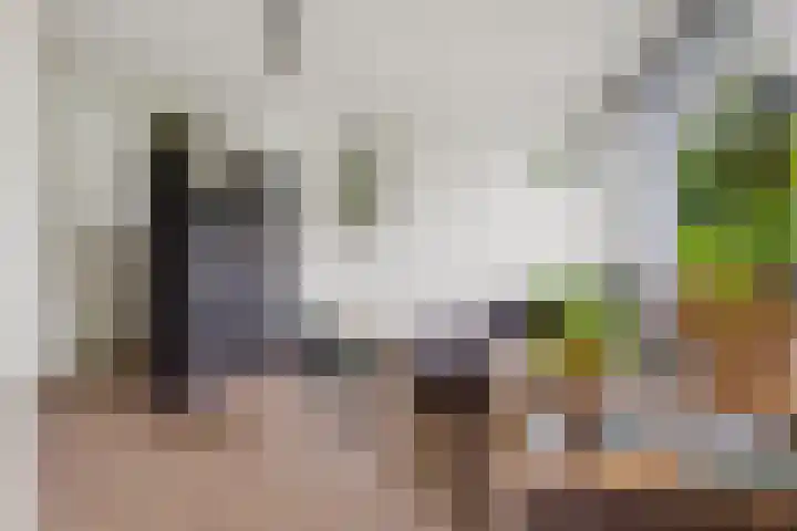 Abt Ludolfweg 15 De Bilt thumbnail 8