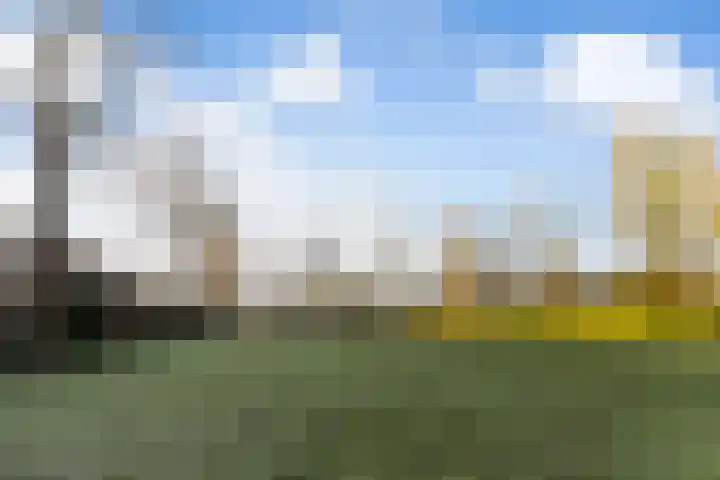 Abt Ludolfweg 25 De Bilt thumbnail 34