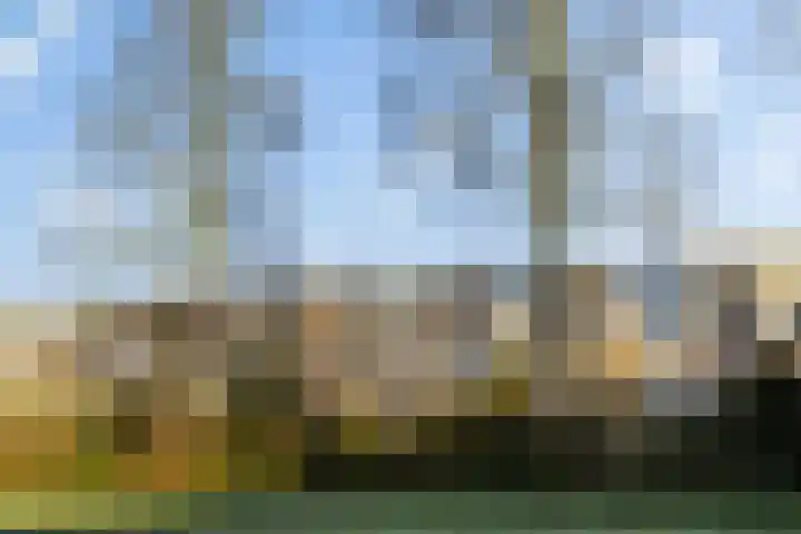 Abt Ludolfweg 25 De Bilt thumbnail 35