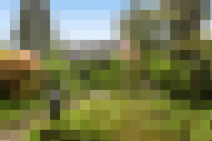 Abt Ludolfweg 4 De Bilt thumbnail 13
