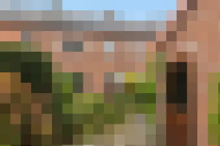 Abt Ludolfweg 4 De Bilt thumbnail 15