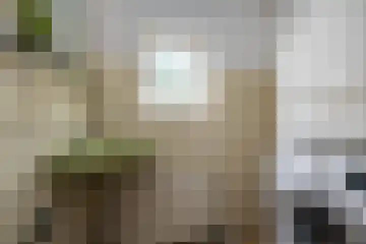 Abt Ludolfweg 4 De Bilt thumbnail 28