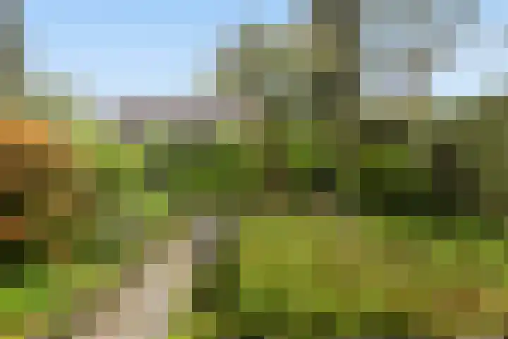 Abt Ludolfweg 4 De Bilt thumbnail 4