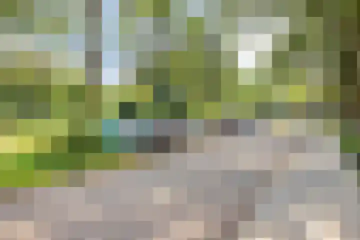 Abt Ludolfweg 41 De Bilt thumbnail 25