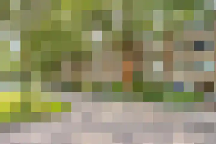 Abt Ludolfweg 41 De Bilt thumbnail 26