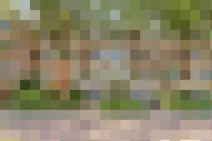 Abt Ludolfweg 41 De Bilt thumbnail 31